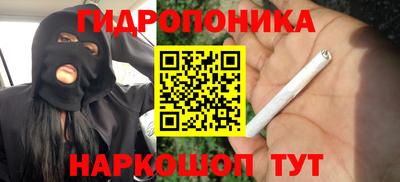 тгк Боровичи