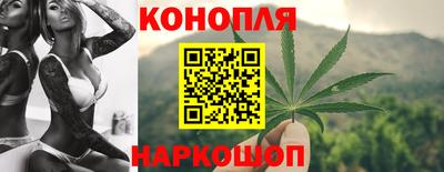 сатива Брянск