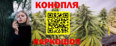 сатива Брянск